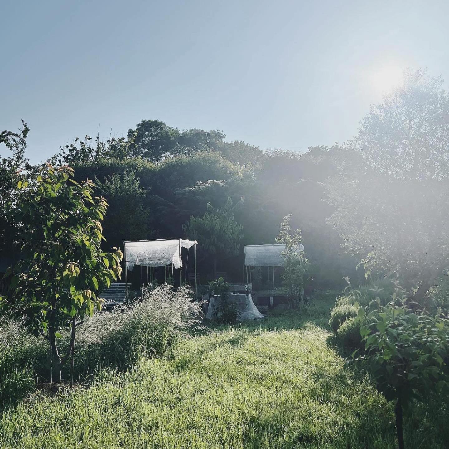 Maisonnette - La Clochette Lugon et l’Ile du Carney Esterno foto